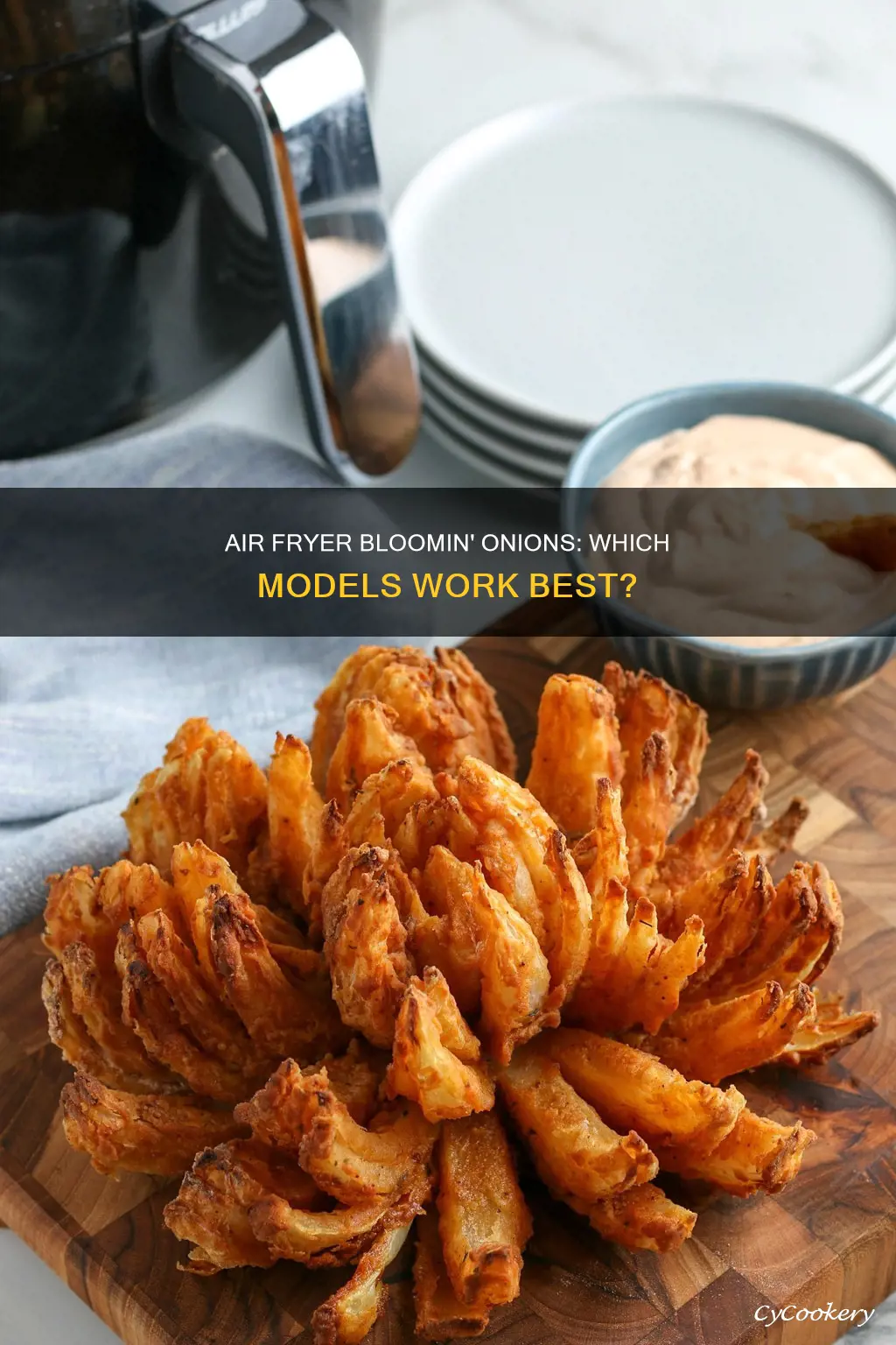 can all air fryers do bloomin onions