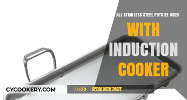 Stainless Steel Pots: Induction Cooker Compatible?