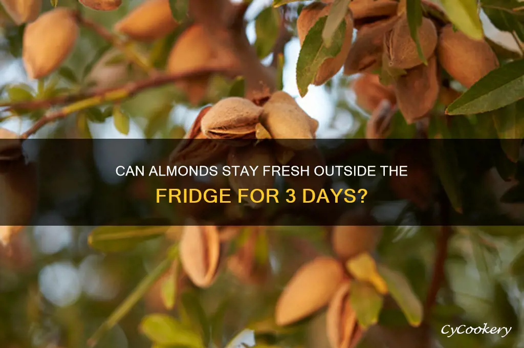 can almond be oit of the refrigerator for 3 days