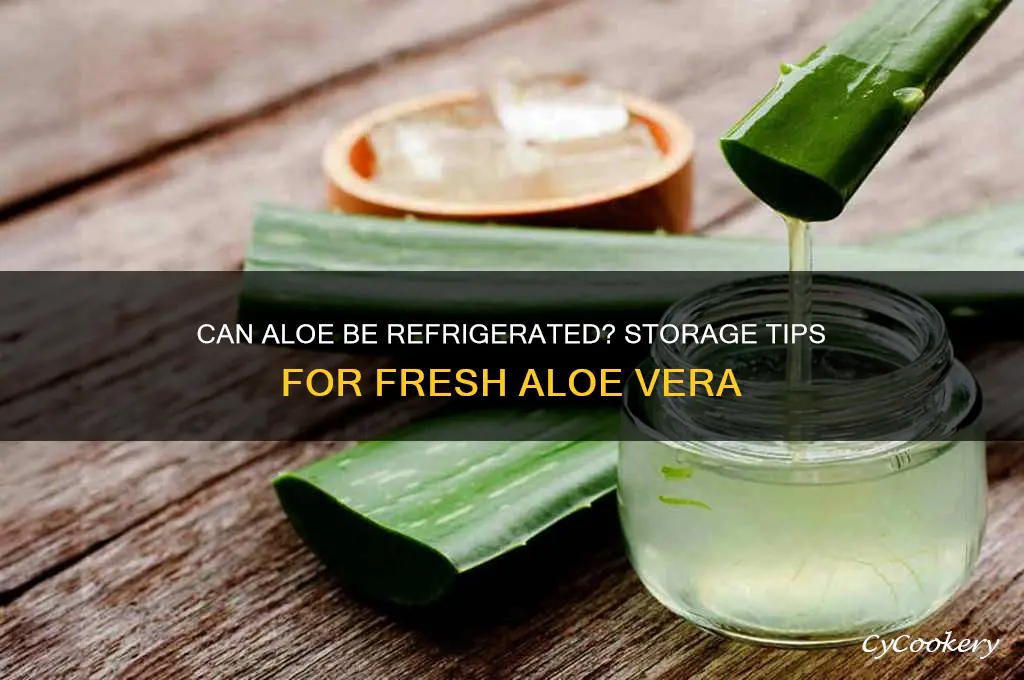 can aloe be refrigerated
