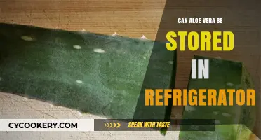 Can Aloe Vera Be Stored in the Refrigerator? A Guide