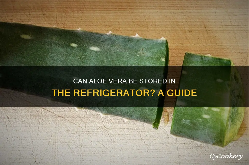 can aloe vera be stored in refrigerator