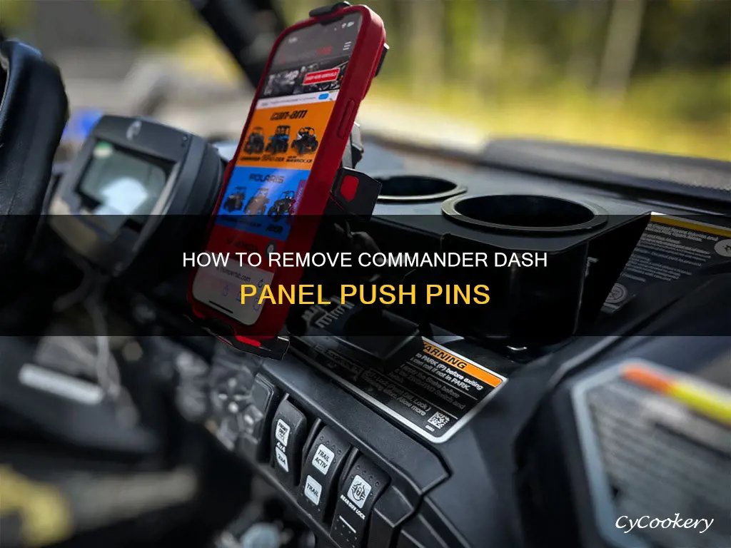 can am commander remoce center dash pane push pinsl