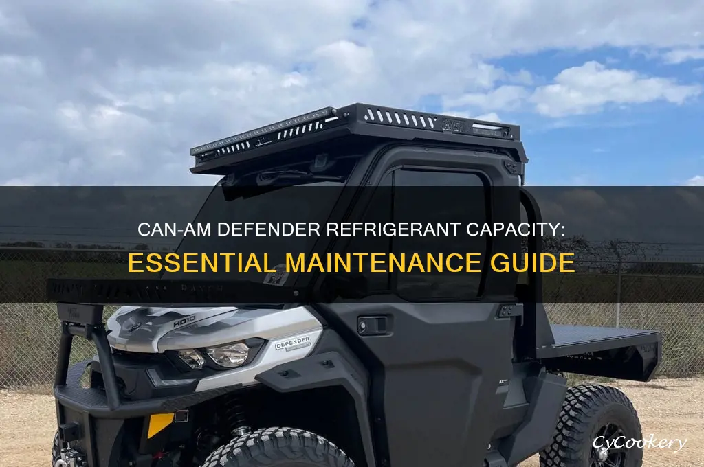 can-am defender refrigerant capacity