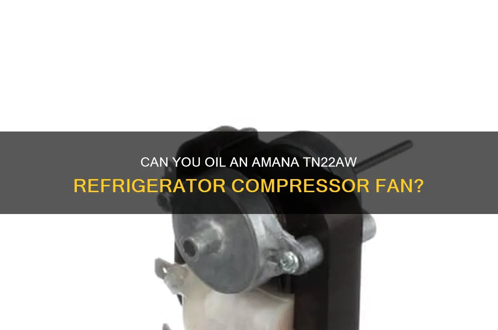 can amana refrigerator tn22aw compressor fan be oiled