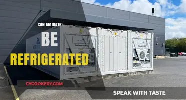 Can Amidate Be Refrigerated? Storage Tips and Best Practices