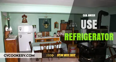 Can Amish Use Refrigerators? Exploring Their Modern Technology Rules