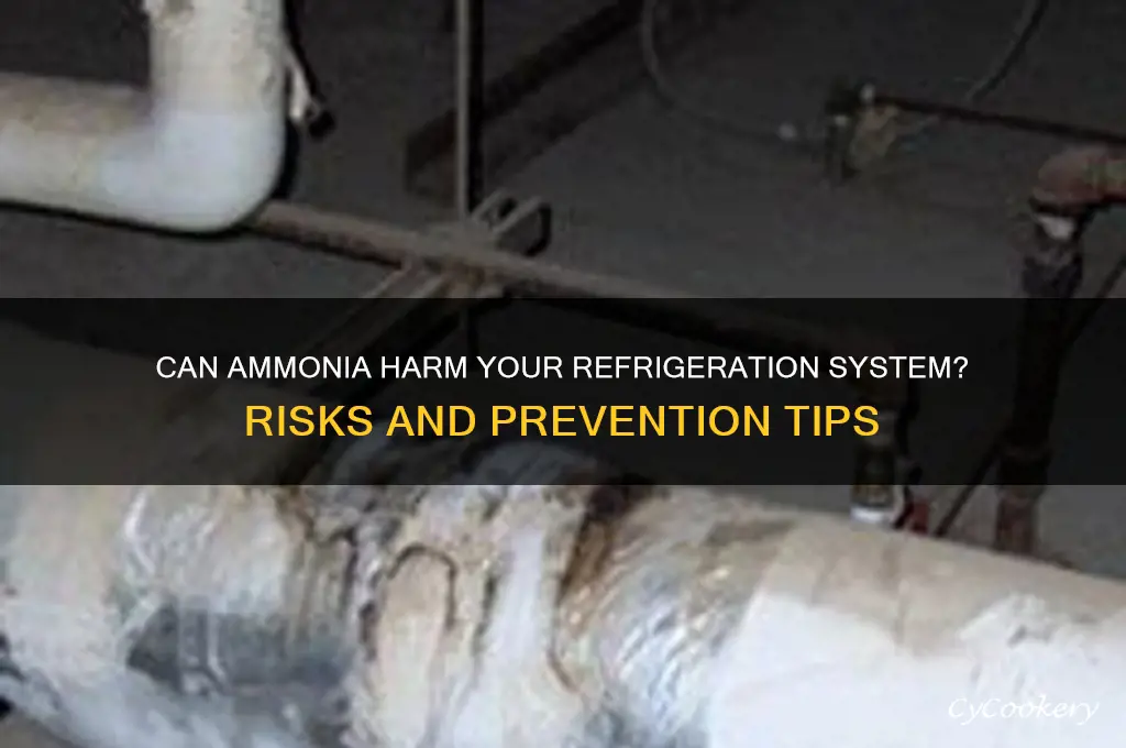 can ammonia damage refrigeration get