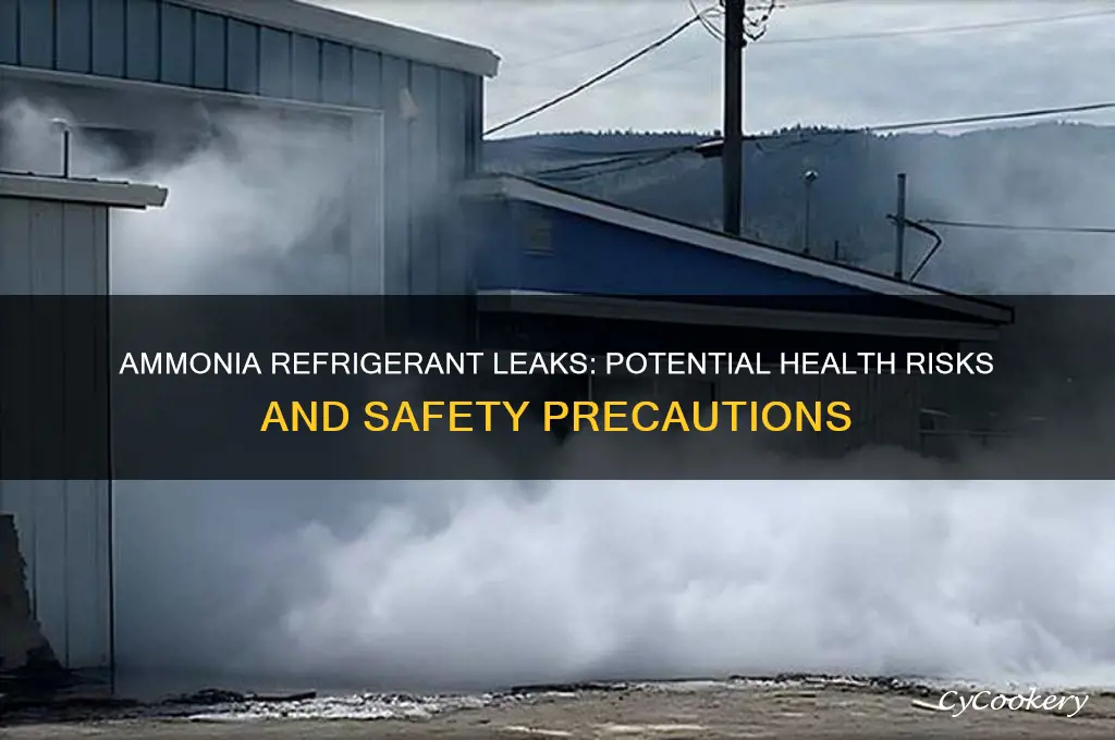 can ammonia oil from refrigerators harm you