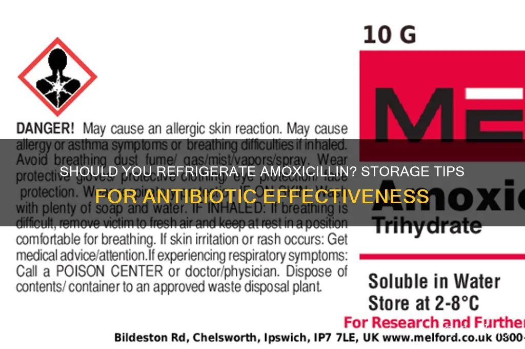can amoxicillin be refrigerated