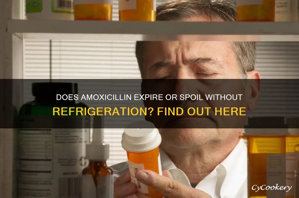 can amoxicillin go bad if not refrigerated