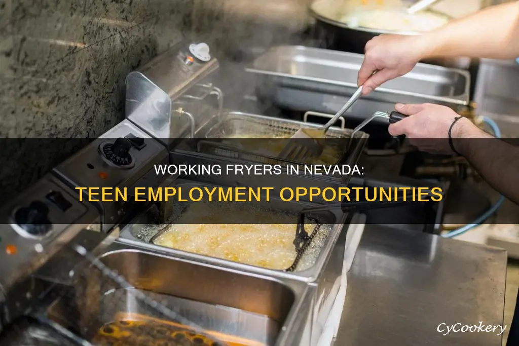 can an 17 year old work a fryer in nevada