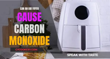 Air Fryer Safety: Carbon Monoxide Risk?