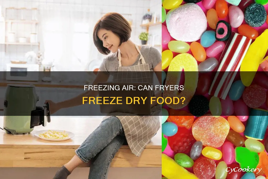 can an air fryer freeze dry food