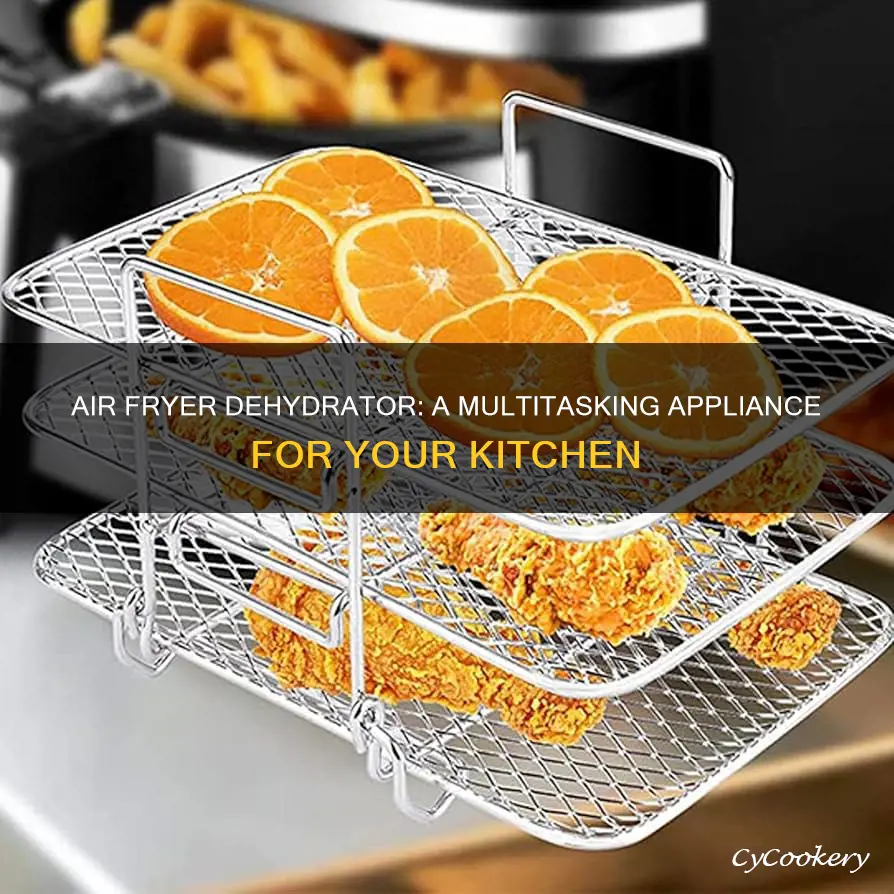 can an air fryer replace a dehydrator