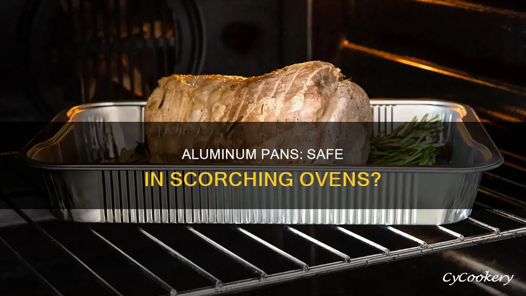 can an aluminum pan stand 500 oven