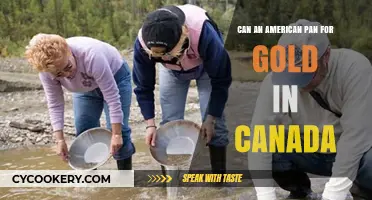 Panning for Gold: Can Americans Try Their Luck in Canada?