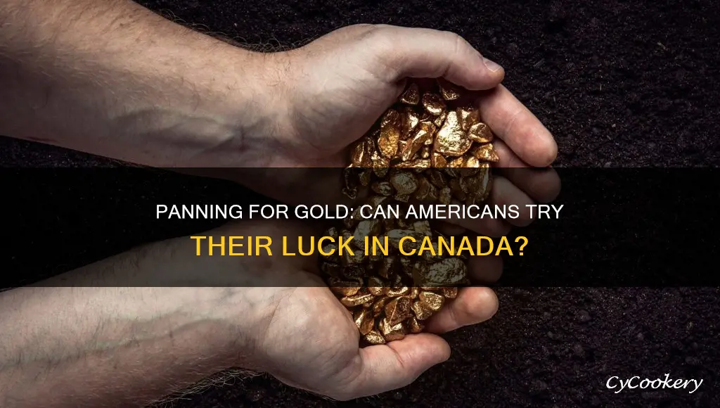 can an american pan for gold in canada