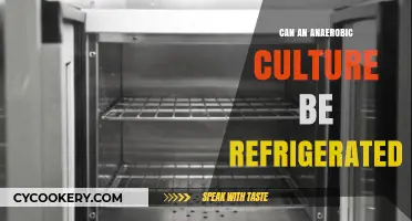 Refrigerating Anaerobic Cultures: Best Practices for Preservation and Storage