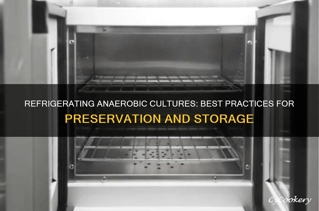 can an anaerobic culture be refrigerated