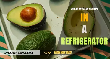 Can Avocados Ripen in the Fridge? The Chilling Truth