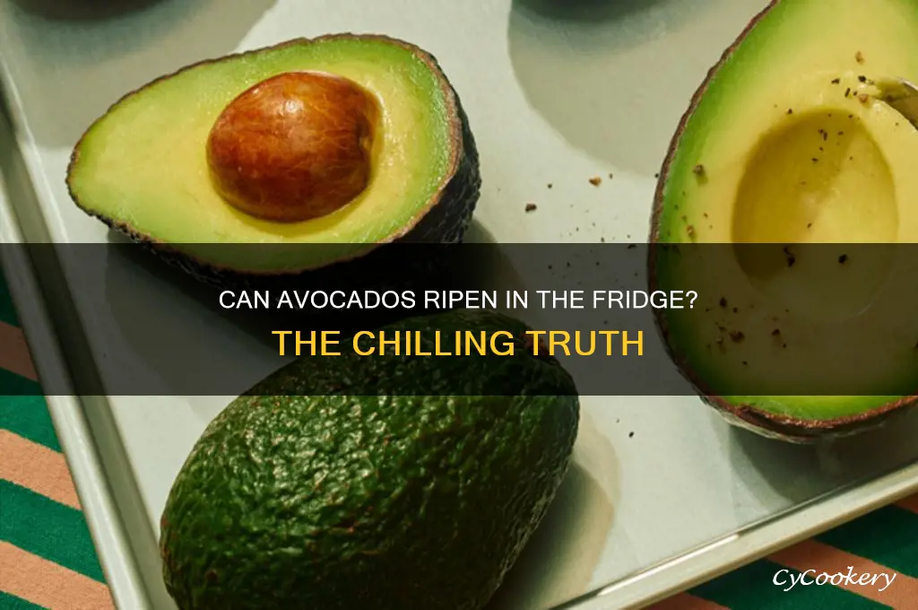 can an avocado get ripe in a refrigerator