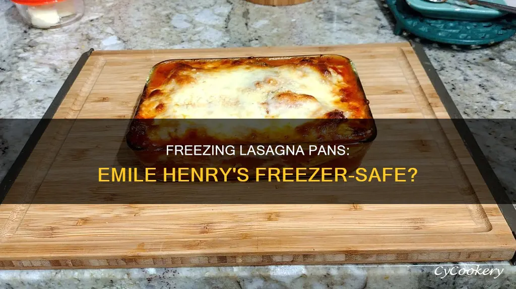 can an emile henry lasagna pan be frozen