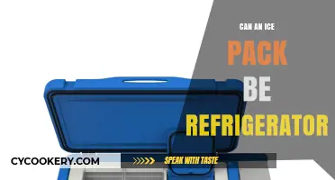 Can Ice Packs Be Stored in the Refrigerator? A Quick Guide