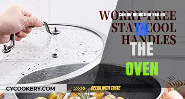 Induction Pans: Are They Oven-Safe?