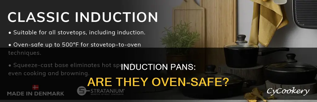 can an induction pan go in the oven