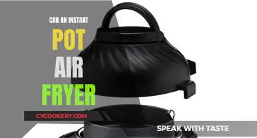 Instant Pot Air Fryer: A Multipurpose Kitchen Wonder