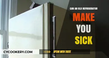 Old Fridges and Health Risks: Can Aging Appliances Cause Illness?