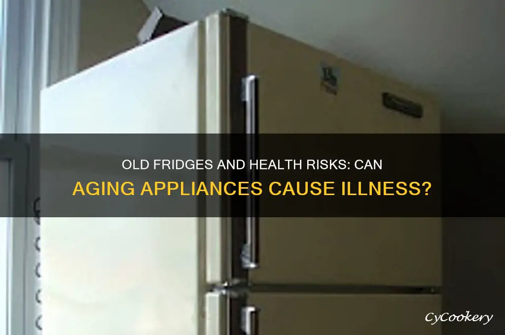 can an old refrigerator make you sick