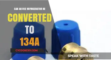 Converting R12 Refrigerators to R134a: Is It Possible and Practical?