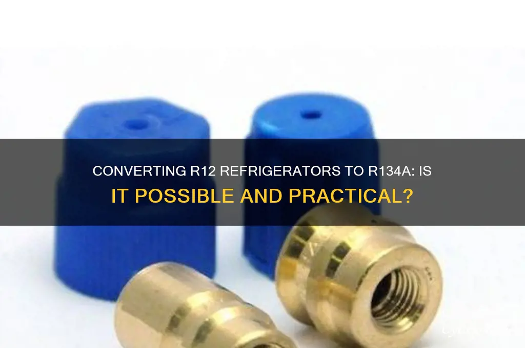 can an r12 refrigerator be converted to 134a