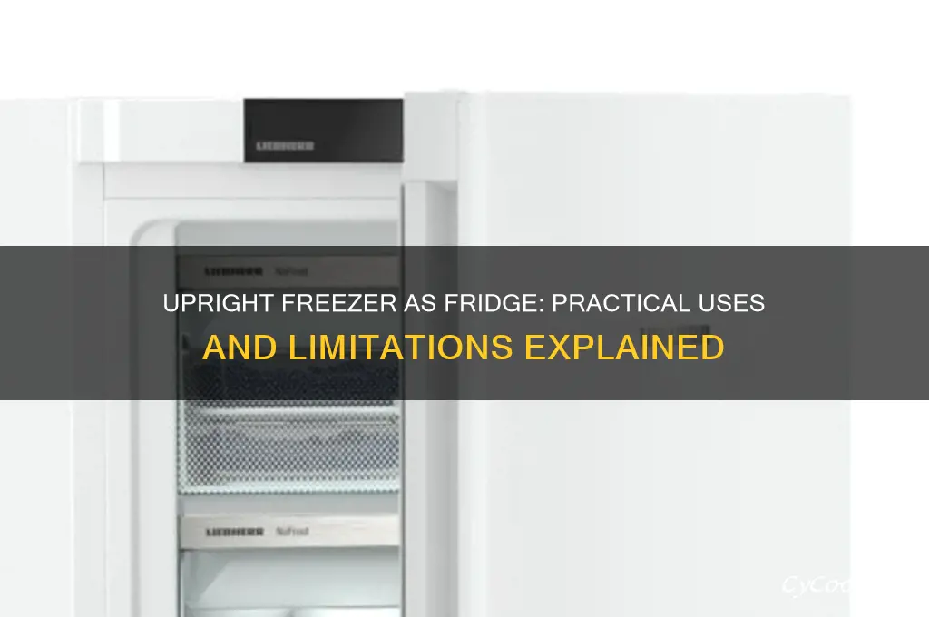 can an upright freezer be used as a refrigerator
