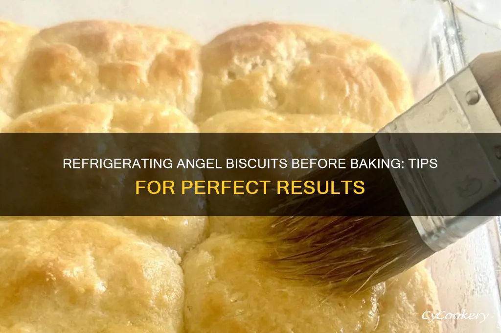 can angel biscuits be refrigerated before baking