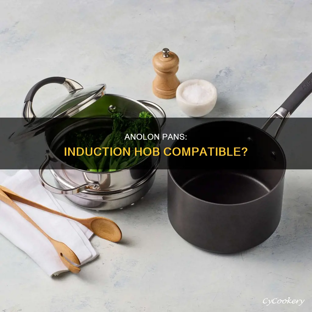 can anolon pans be used on induction hob