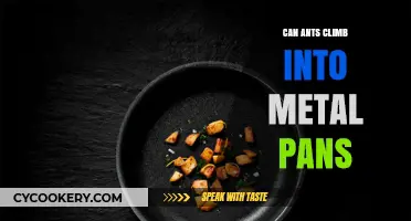 Ants and Metal: Can They Invade Your Pans?