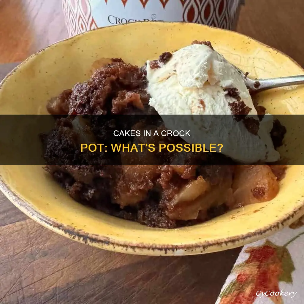 can any cake be cooked in crock pot