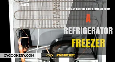 Are Harmful Gases Released from Your Refrigerator Freezer?