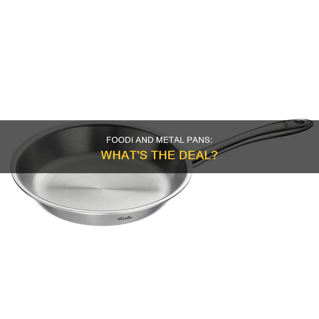 can any metal pans go in foodi