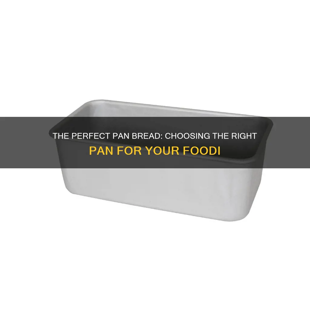 can any pan bread pan go in the foodi