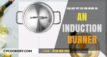 Induction Burners: What Pots and Pans Work?