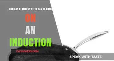 Stainless Steel Pans: Compatible with Induction?