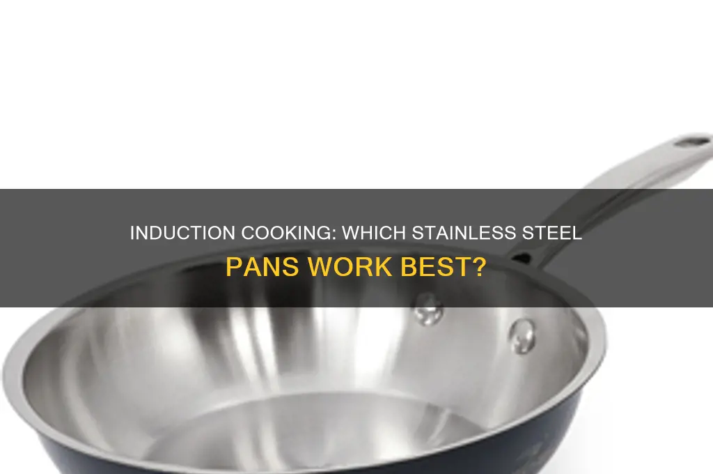 can any stainless steel pan be used on an induction