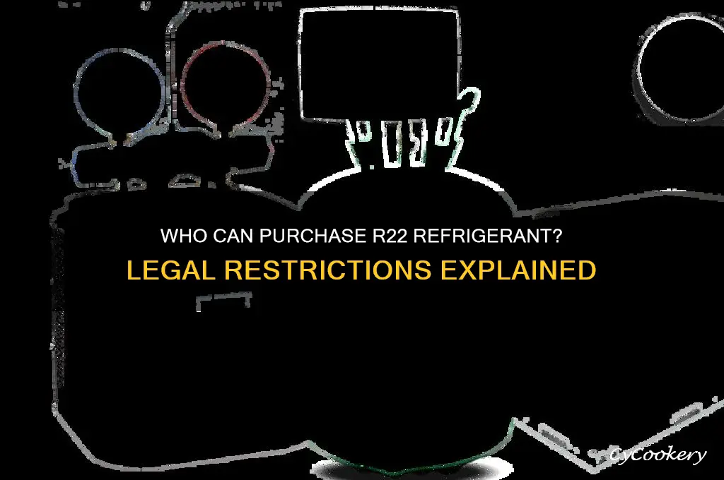 can anyone buy r22 refrigerant