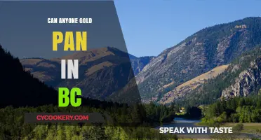 Gold Panning in BC: Who Can Pan?