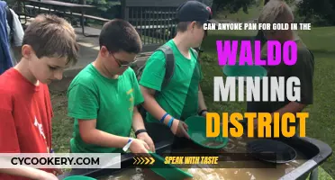 Gold Panning in Waldo: Who Can Do It?