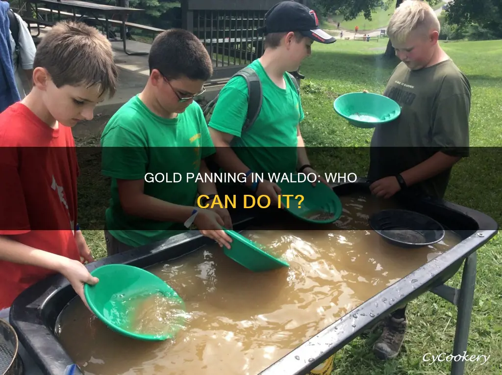 can anyone pan for gold in the waldo mining district
